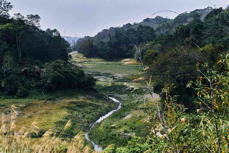 Nước, bán dẫn và nông dân