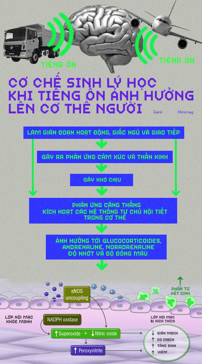 Ô nhiễm tiếng ồn: Sát nhân thầm lặng bên trong các thành phố - Ảnh 6. Ô nhiễm tiếng ồn: Sát nhân thầm lặng bên trong các thành phố - Ảnh 6.
