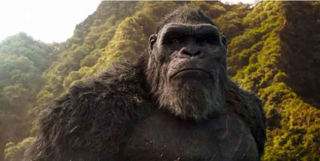 Godzilla vs. Kong: Những chi tiết quan trọng giúp MonsterVerse trở nên có chiều sâu thay vì chỉ là loạt bom tấn xem cho sướng mắt - Ảnh 8.