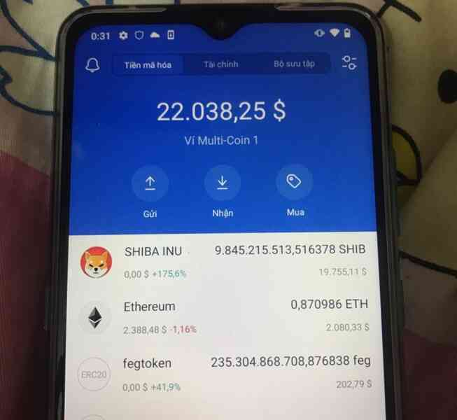 Dogecoin và cơn sốt tiền ảo hệ thú cưng