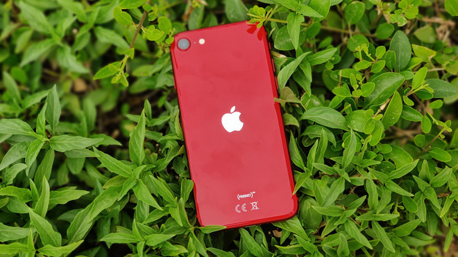 Không phải vì rẻ, không phải vì cỡ nhỏ, iPhone 12 Mini thất bại là vì sai lầm trong tính toán của Tim Cook - Ảnh 2. Không phải vì rẻ, không phải vì cỡ nhỏ, iPhone 12 Mini thất bại là vì sai lầm trong tính toán của Tim Cook - Ảnh 2.