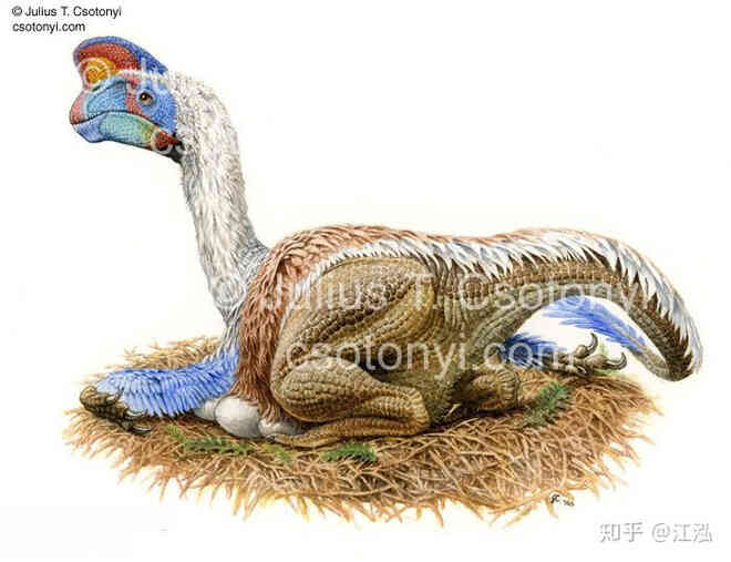 Phát hiện loài động vật hai ngón chuyên ăn cắp trứng khủng long - Ảnh 3. Phát hiện loài động vật hai ngón chuyên ăn cắp trứng khủng long - Ảnh 3.