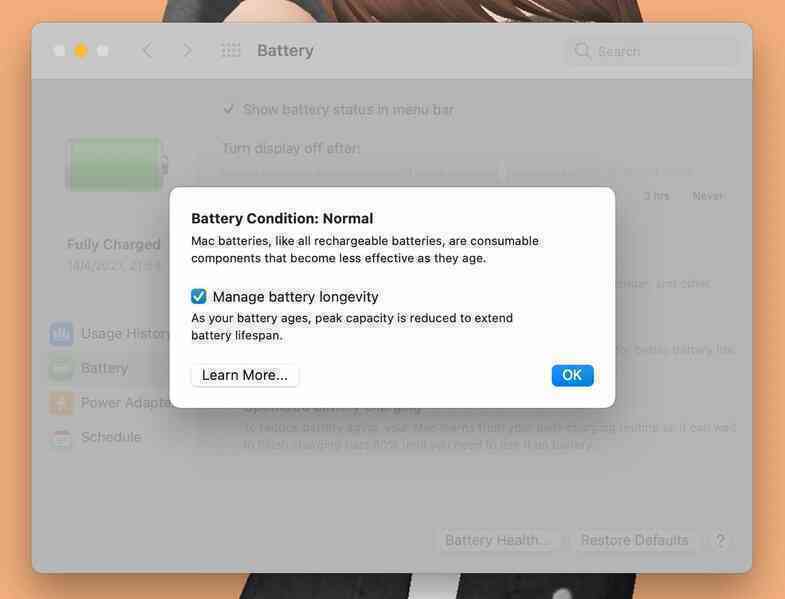 Tiết kiệm pin cho MacBook ảnh 9 Tiet kiem pin cho MacBook anh 9
