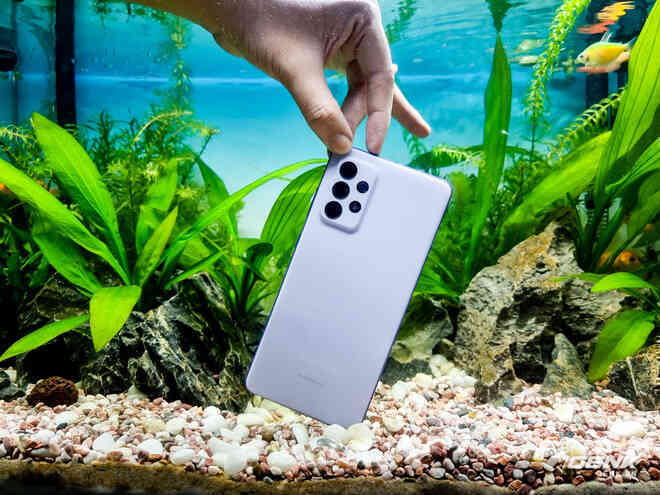 Thử khả năng kháng nước của Galaxy A72 với buổi chụp hình trong bể cá cảnh - Ảnh 2. Thử khả năng kháng nước của Galaxy A72 với buổi chụp hình trong bể cá cảnh - Ảnh 2.