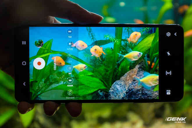 Thử khả năng kháng nước của Galaxy A72 với buổi chụp hình trong bể cá cảnh - Ảnh 3. Thử khả năng kháng nước của Galaxy A72 với buổi chụp hình trong bể cá cảnh - Ảnh 3.
