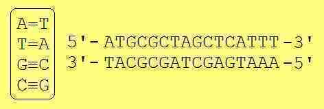 Những virus có bộ gen "ngoài hành tinh" sẽ khiến sách giáo khoa sinh học phải được viết lại