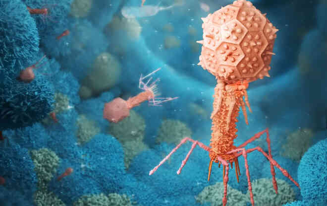 Những virus có bộ gen ngoài hành tinh sẽ khiến sách giáo khoa sinh học phải được viết lại - Ảnh 5. Những virus có bộ gen ngoài hành tinh sẽ khiến sách giáo khoa sinh học phải được viết lại - Ảnh 5.