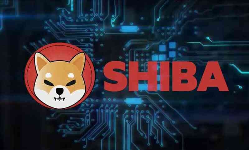 Sau Doge, 