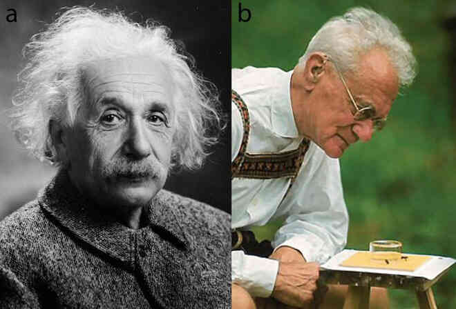 Một bức thư thất lạc của Einstein vừa được tìm thấy, và nó tiết lộ những dự đoán của ông về siêu giác quan của động vật - Ảnh 2. Một bức thư thất lạc của Einstein vừa được tìm thấy, và nó tiết lộ những dự đoán của ông về siêu giác quan của động vật - Ảnh 2.