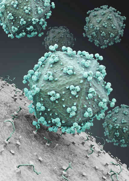 Giữa đại dịch của một virus, một virus đại dịch khác lại đang cứu sống những đứa trẻ bong bóng - Ảnh 6. Giữa đại dịch của một virus, một virus đại dịch khác lại đang cứu sống những đứa trẻ bong bóng - Ảnh 6.