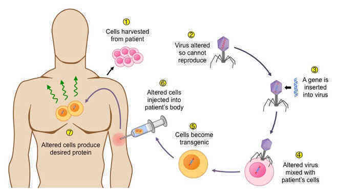 Giữa đại dịch của một virus, một virus đại dịch khác lại đang cứu sống những đứa trẻ bong bóng - Ảnh 7. Giữa đại dịch của một virus, một virus đại dịch khác lại đang cứu sống những đứa trẻ bong bóng - Ảnh 7.