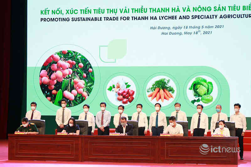 Vải thiều và nông sản Hải Dương lên 4 sàn thương mại điện tử lớn