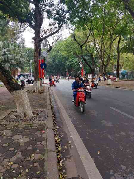 Công nghệ số giải nỗi lo mất mạng do cây đổ