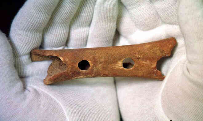 Nếu người Neanderthal không bị tuyệt chủng, thế giới sẽ ra sao? - Ảnh 3. Nếu người Neanderthal không bị tuyệt chủng, thế giới sẽ ra sao? - Ảnh 3.