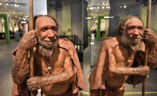 Nếu người Neanderthal không bị tuyệt chủng, thế giới sẽ ra sao? - Ảnh 6. Nếu người Neanderthal không bị tuyệt chủng, thế giới sẽ ra sao? - Ảnh 6.