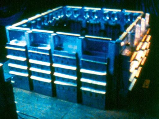 Thiên đường chuột: thí nghiệm về một xã hội thu nhỏ vẽ ra những kết luận rùng rợn về tương lai con người (Phần 2) - Ảnh 3. Thiên đường chuột: thí nghiệm về một xã hội thu nhỏ vẽ ra những kết luận rùng rợn về tương lai con người (Phần 2) - Ảnh 3.