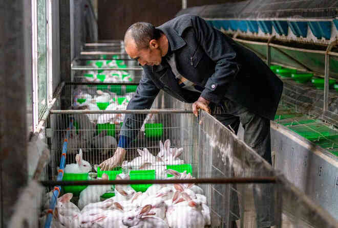 Tóm tắt tất cả bằng chứng hiện có về nguồn gốc COVID-19: Virus đã rò rỉ từ phòng thí nghiệm hay tiến hóa từ tự nhiên? - Ảnh 8. Tóm tắt tất cả bằng chứng hiện có về nguồn gốc COVID-19: Virus đã rò rỉ từ phòng thí nghiệm hay tiến hóa từ tự nhiên? - Ảnh 8.