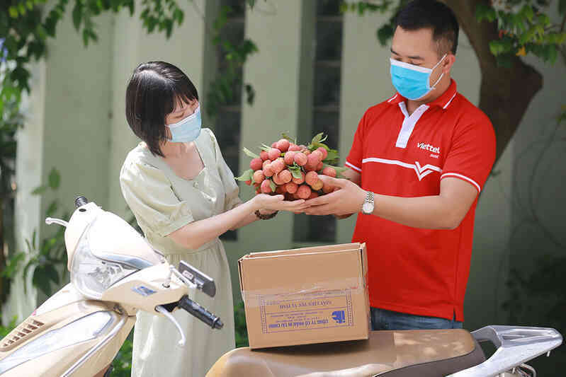 6 giờ sau thu hoạch vải thiều Bắc Giang đến tay người mua qua sàn điện tử