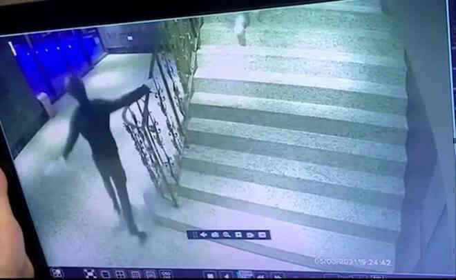 Giang hồ áo đen ném cả nghìn con gián vào nhà hàng, đúng lúc cảnh sát đang ăn tiệc mừng sếp lớn nghỉ hưu - Ảnh 6. Giang hồ áo đen ném cả nghìn con gián vào nhà hàng, đúng lúc cảnh sát đang ăn tiệc mừng sếp lớn nghỉ hưu - Ảnh 6.