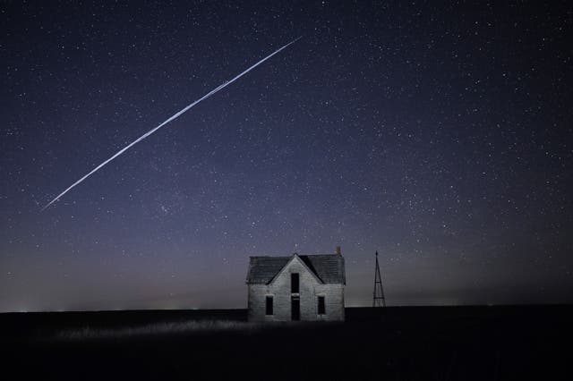 Dịch vụ Internet vệ tinh Starlink hiện đại của Elon Musk gặp đối thủ lớn: những cái cây - Ảnh 7. Dịch vụ Internet vệ tinh Starlink hiện đại của Elon Musk gặp đối thủ lớn: những cái cây - Ảnh 7.