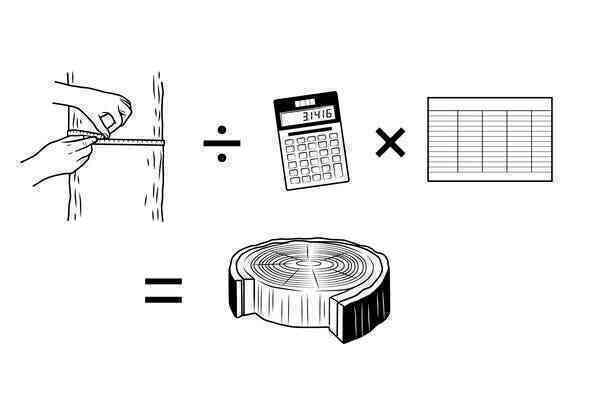 Quà 1/6 cho bạn trẻ mê khoa học: 5 thí nghiệm STEM siêu đỉnh cho mùa hè ở nhà tránh dịch - Ảnh 6. Quà 1/6 cho bạn trẻ mê khoa học: 5 thí nghiệm STEM siêu đỉnh cho mùa hè ở nhà tránh dịch - Ảnh 6.