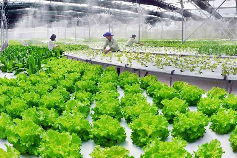 Kỳ vọng Viet Solutions 2021 có sản phẩm giúp 9 triệu nông dân sớm thoát nghèo bằng công nghệ
