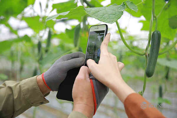 Giúp nông dân chuyển đổi số