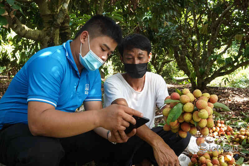 Nông dân 5 tỉnh mang đặc sản lên bán tại “Phiên chợ nông sản Việt trực tuyến”