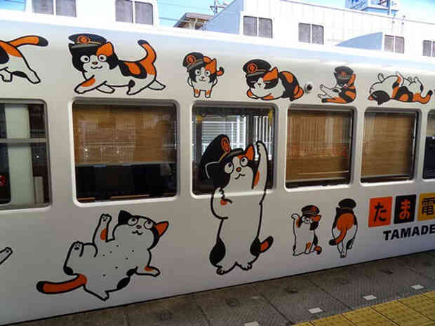  Chỉ nhờ một cô mèo hoang, công ty Nhật Bản lãi to 280 tỷ, thoát khỏi cảnh phá sản trong gang tấc - Ảnh 12.