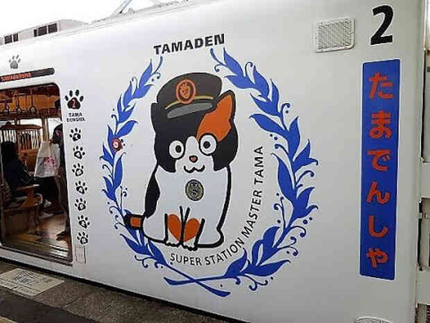  Chỉ nhờ một cô mèo hoang, công ty Nhật Bản lãi to 280 tỷ, thoát khỏi cảnh phá sản trong gang tấc - Ảnh 9.