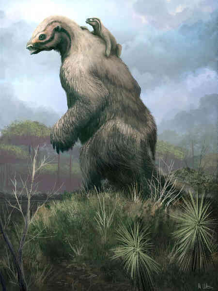 Glyptodon: Lâu đài di động ở Nam Mỹ