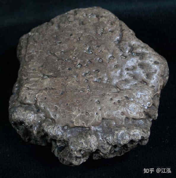 Glyptodon: Lâu đài di động ở Nam Mỹ - Ảnh 2. Glyptodon: Lâu đài di động ở Nam Mỹ - Ảnh 2.