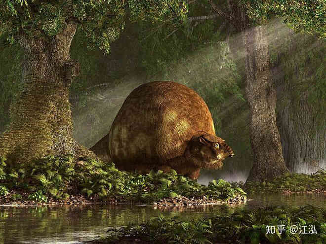 Glyptodon: Lâu đài di động ở Nam Mỹ - Ảnh 11. Glyptodon: Lâu đài di động ở Nam Mỹ - Ảnh 11.