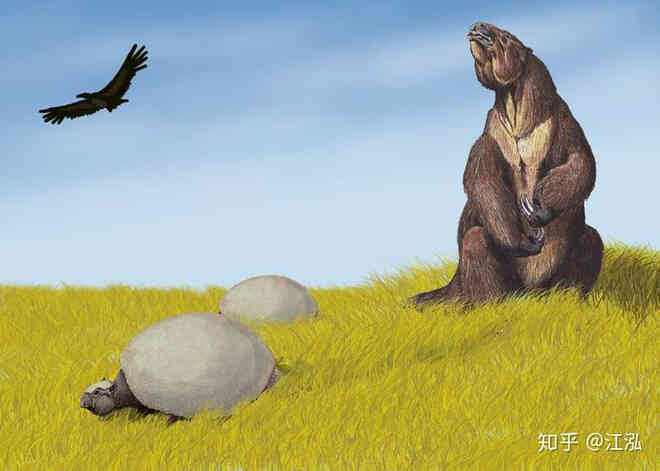 Glyptodon: Lâu đài di động ở Nam Mỹ - Ảnh 12. Glyptodon: Lâu đài di động ở Nam Mỹ - Ảnh 12.