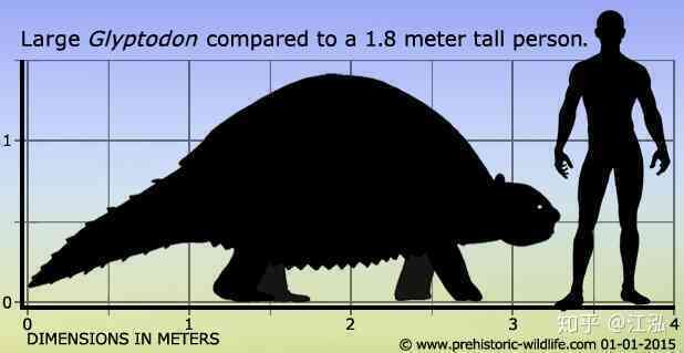 Glyptodon: Lâu đài di động ở Nam Mỹ - Ảnh 5. Glyptodon: Lâu đài di động ở Nam Mỹ - Ảnh 5.