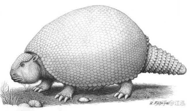 Glyptodon: Lâu đài di động ở Nam Mỹ - Ảnh 8. Glyptodon: Lâu đài di động ở Nam Mỹ - Ảnh 8.