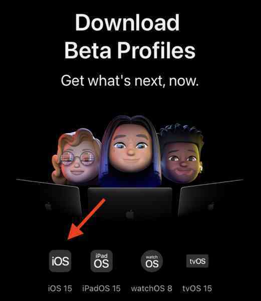 Hướng dẫn nâng cấp lên iOS 15 Beta - Ảnh 2. Hướng dẫn nâng cấp lên iOS 15 Beta - Ảnh 2.