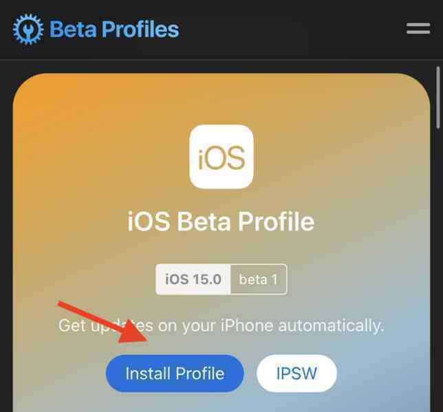 Hướng dẫn nâng cấp lên iOS 15 Beta - Ảnh 3. Hướng dẫn nâng cấp lên iOS 15 Beta - Ảnh 3.