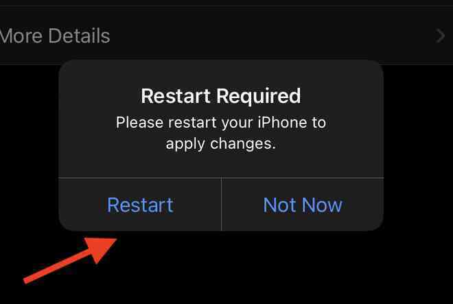 Hướng dẫn nâng cấp lên iOS 15 Beta - Ảnh 7. Hướng dẫn nâng cấp lên iOS 15 Beta - Ảnh 7.