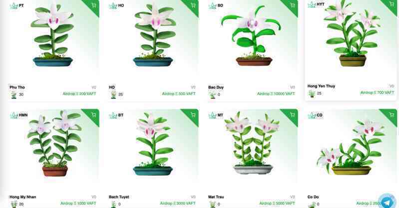 Cơn sốt đầu tư lan điện tử trị giá nghìn USD trên mạng - 2 Cơn sốt đầu tư lan điện tử trị giá nghìn USD trên mạng - 2