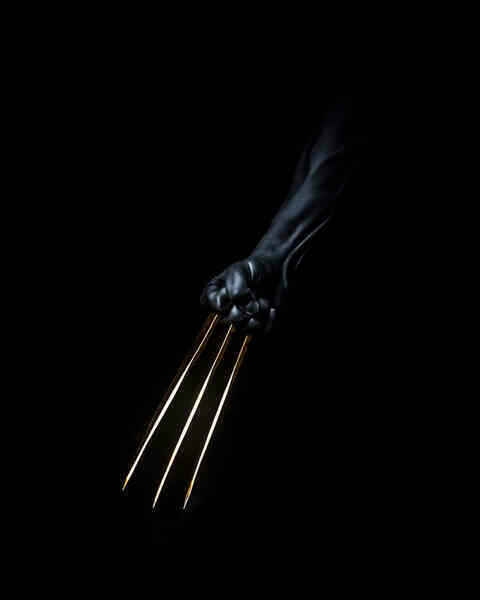 Hugh Jackman tung thính với Marvel, chuẩn bị trở lại làm Wolverine trong MCU? - Ảnh 3. Hugh Jackman tung thính với Marvel, chuẩn bị trở lại làm Wolverine trong MCU? - Ảnh 3.