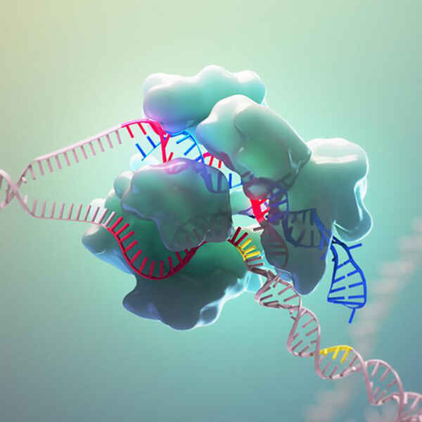 Các nhà khoa học Úc đã tìm ra cách tiêu diệt virus SARS-CoV-2 trong tế bào người