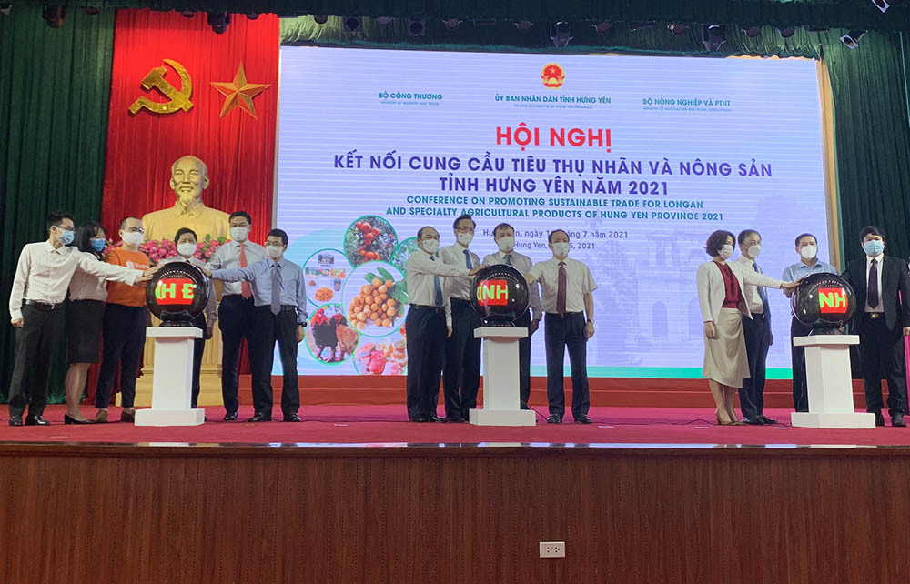 Nông dân Hưng Yên lên các sàn thương mại điện tử bán đặc sản nhãn lồng