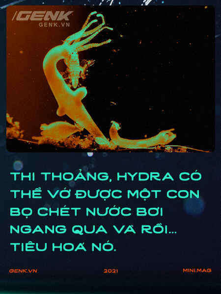 Gián có nằm ngửa khi ngủ không và hành trình đi tìm giấc ngủ nguyên sơ nhất lịch sử Trái Đất - Ảnh 9. Gián có nằm ngửa khi ngủ không và hành trình đi tìm giấc ngủ nguyên sơ nhất lịch sử Trái Đất - Ảnh 9.