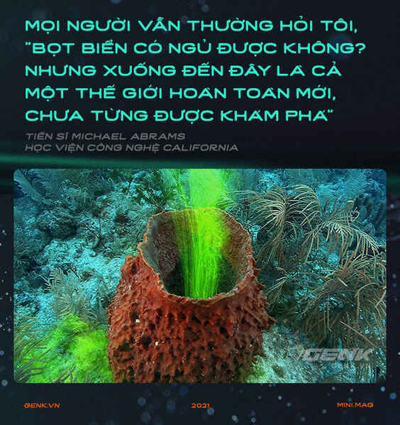 Gián có nằm ngửa khi ngủ không và hành trình đi tìm giấc ngủ nguyên sơ nhất lịch sử Trái Đất - Ảnh 10. Gián có nằm ngửa khi ngủ không và hành trình đi tìm giấc ngủ nguyên sơ nhất lịch sử Trái Đất - Ảnh 10.