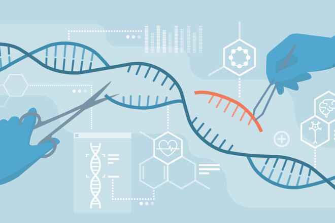 Công nghệ sửa đổi gene CRISPR có thể ngưng sự lan truyền của virus corona giữa các tế bào trên người