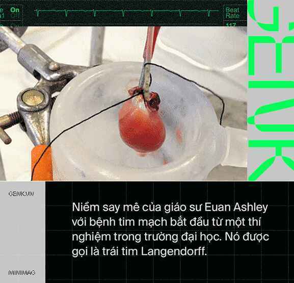 Làm sao để nâng cấp một trái tim? Hãy cấy DNA từ những nhà vô địch Olympic - Ảnh 4.