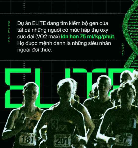 Làm sao để nâng cấp một trái tim? Hãy cấy DNA từ những nhà vô địch Olympic - Ảnh 6.