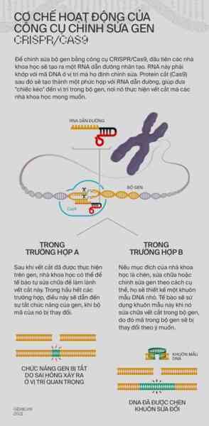 Một cấu trúc DNA giống với loài Borg trong Star Trek vừa được các nhà khoa học tìm thấy - Ảnh 4.