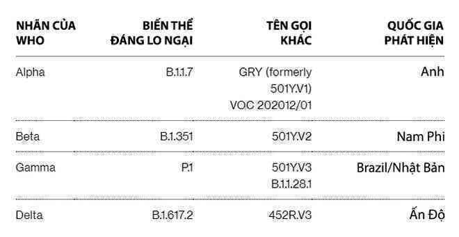 Biến thể COVID-19 mới Lambda: Nó nguy hiểm đến đâu, có kháng được vắc-xin hay không? - Ảnh 6. Biến thể COVID-19 mới Lambda: Nó nguy hiểm đến đâu, có kháng được vắc-xin hay không? - Ảnh 6.